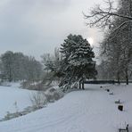 Winter am Adolf Mittag See