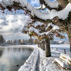 Winter am Ägerisee