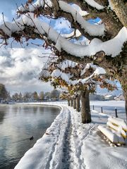 Winter am Ägerisee