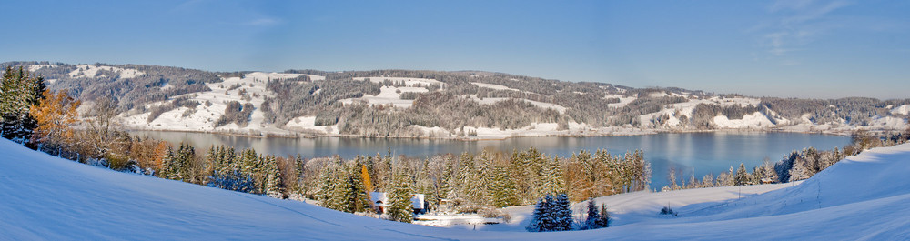 Winter am Alpsee