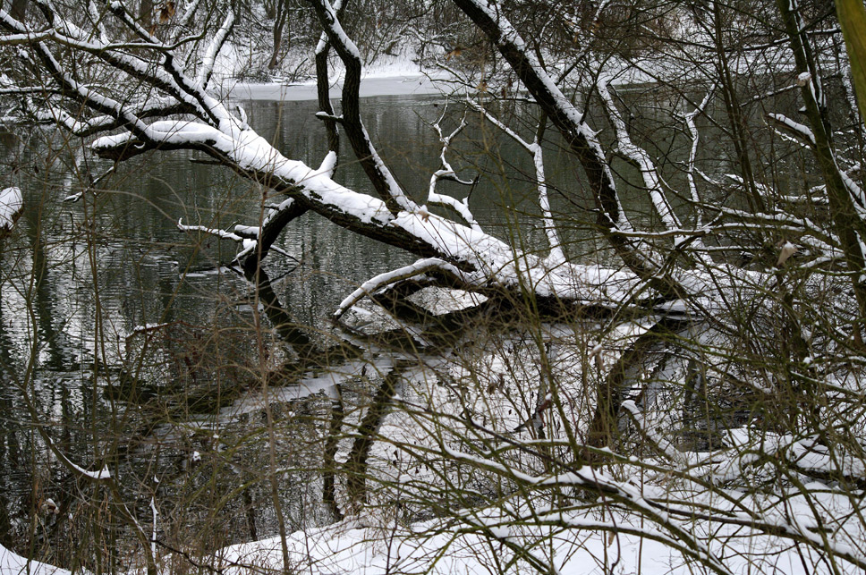 Winter am alten Neckar 1