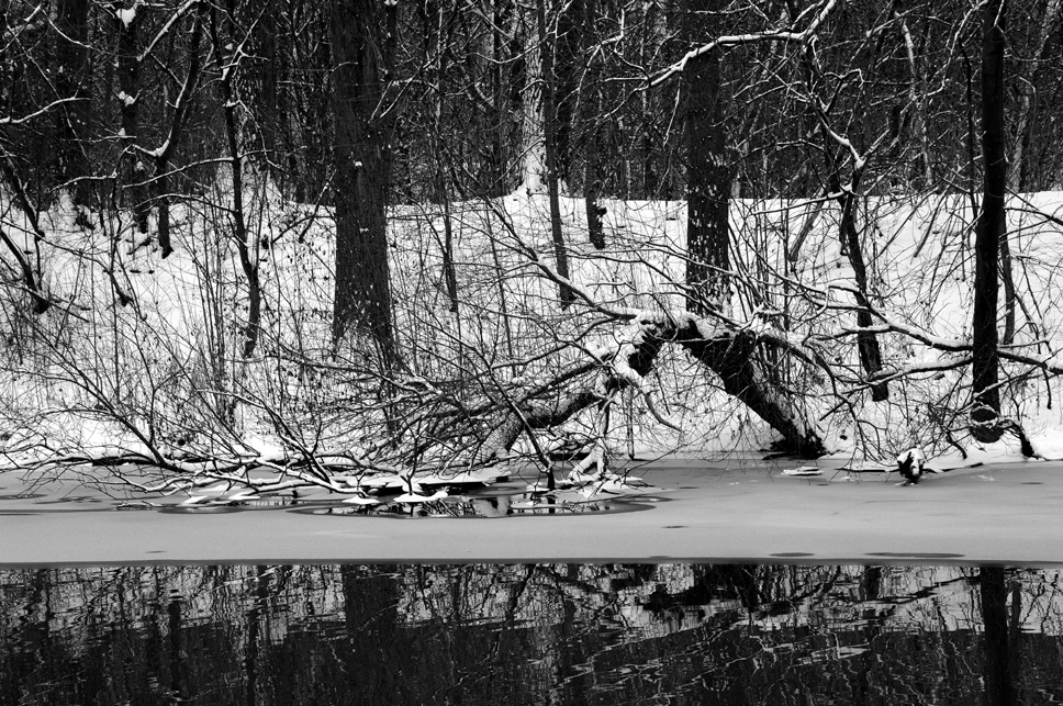 Winter am alten Neckar 3