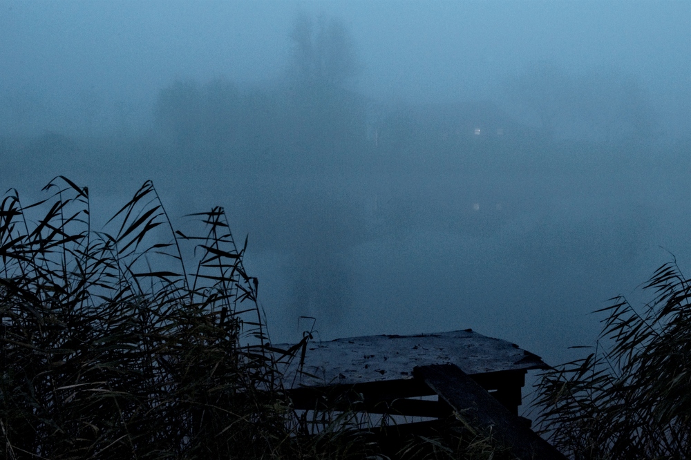 Winter am alten Rhein von M. Stucke 