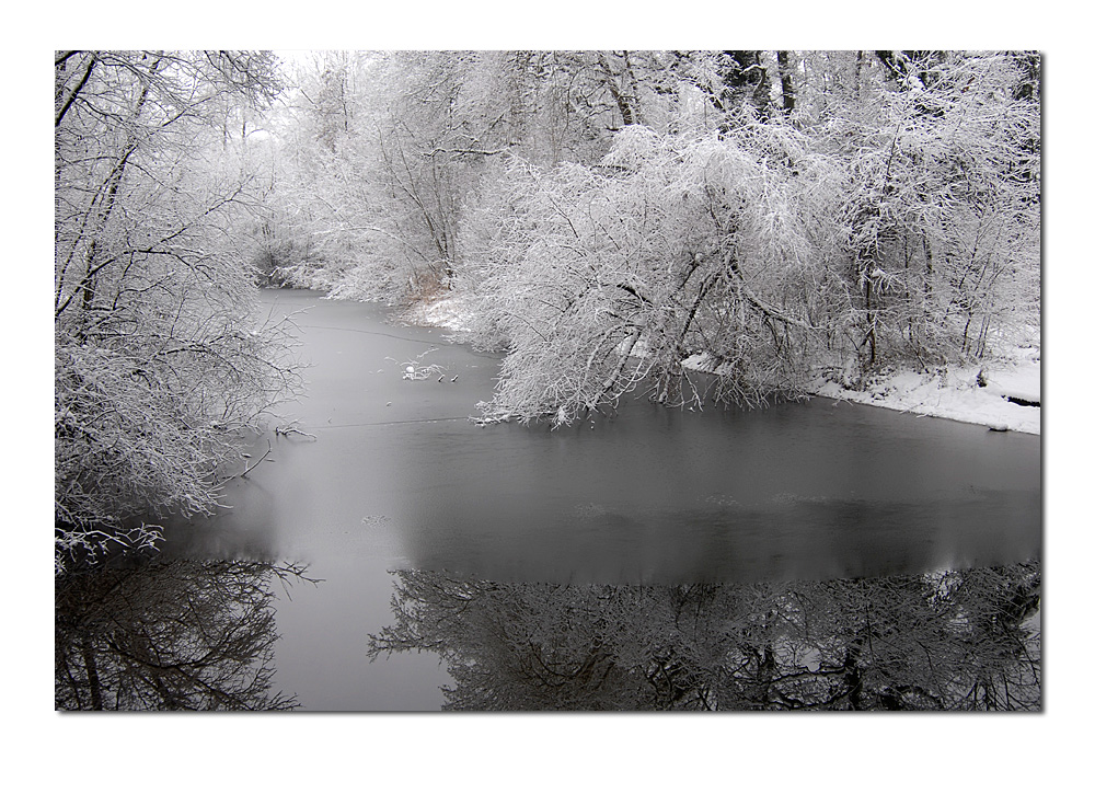 Winter am Altlauf der Limmat (ZH)