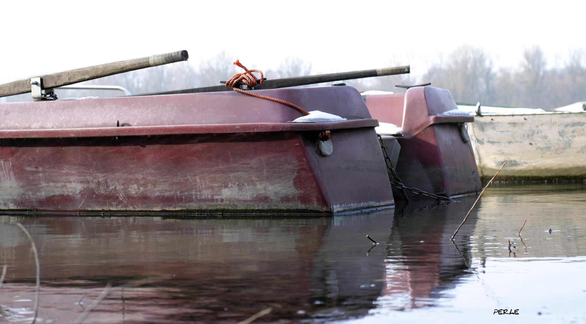 Winter am Altrhein