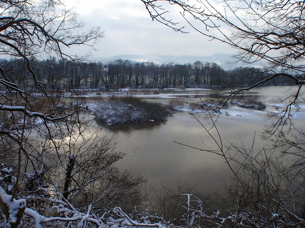 Winter am Altrhein Wyhlen