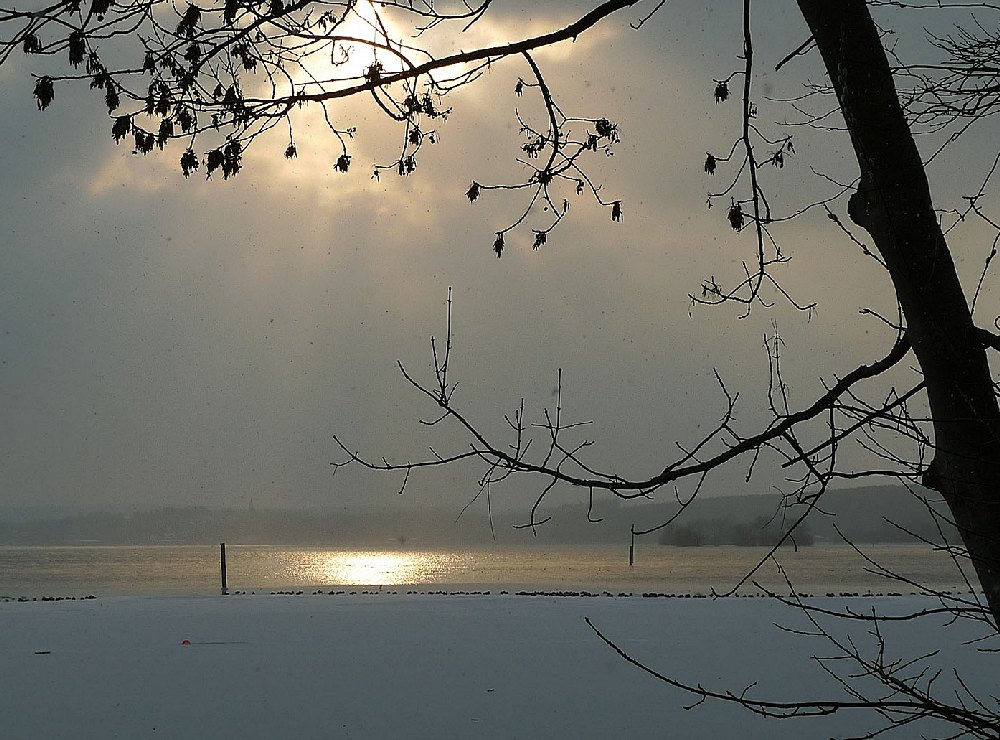 Winter am Ammersee