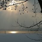 Winter am Ammersee