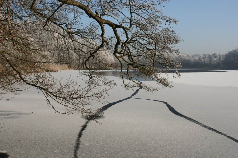 Winter am Amtsee in Chorin