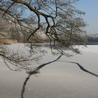 Winter am Amtsee in Chorin