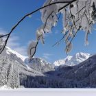 Winter am Antholzer See -1-