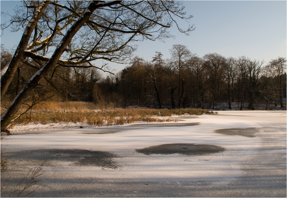 Winter am Aprather Teich