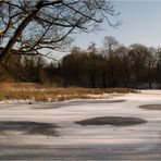 Winter am Aprather Teich
