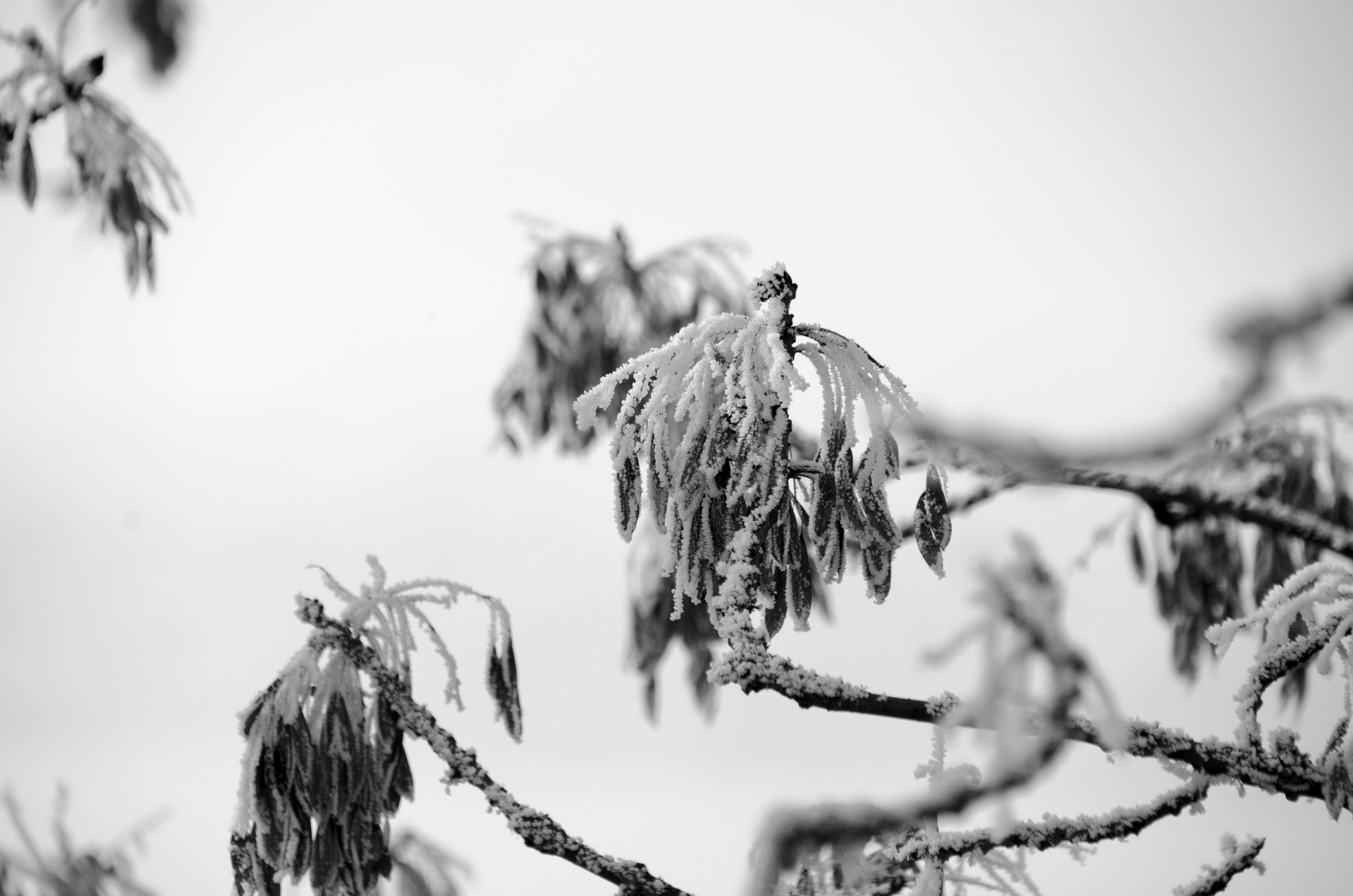 Winter am Attersee