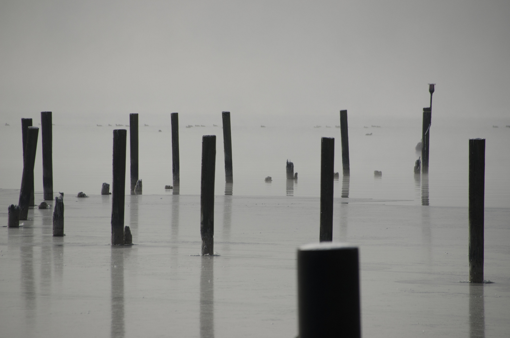 Winter am Attersee II