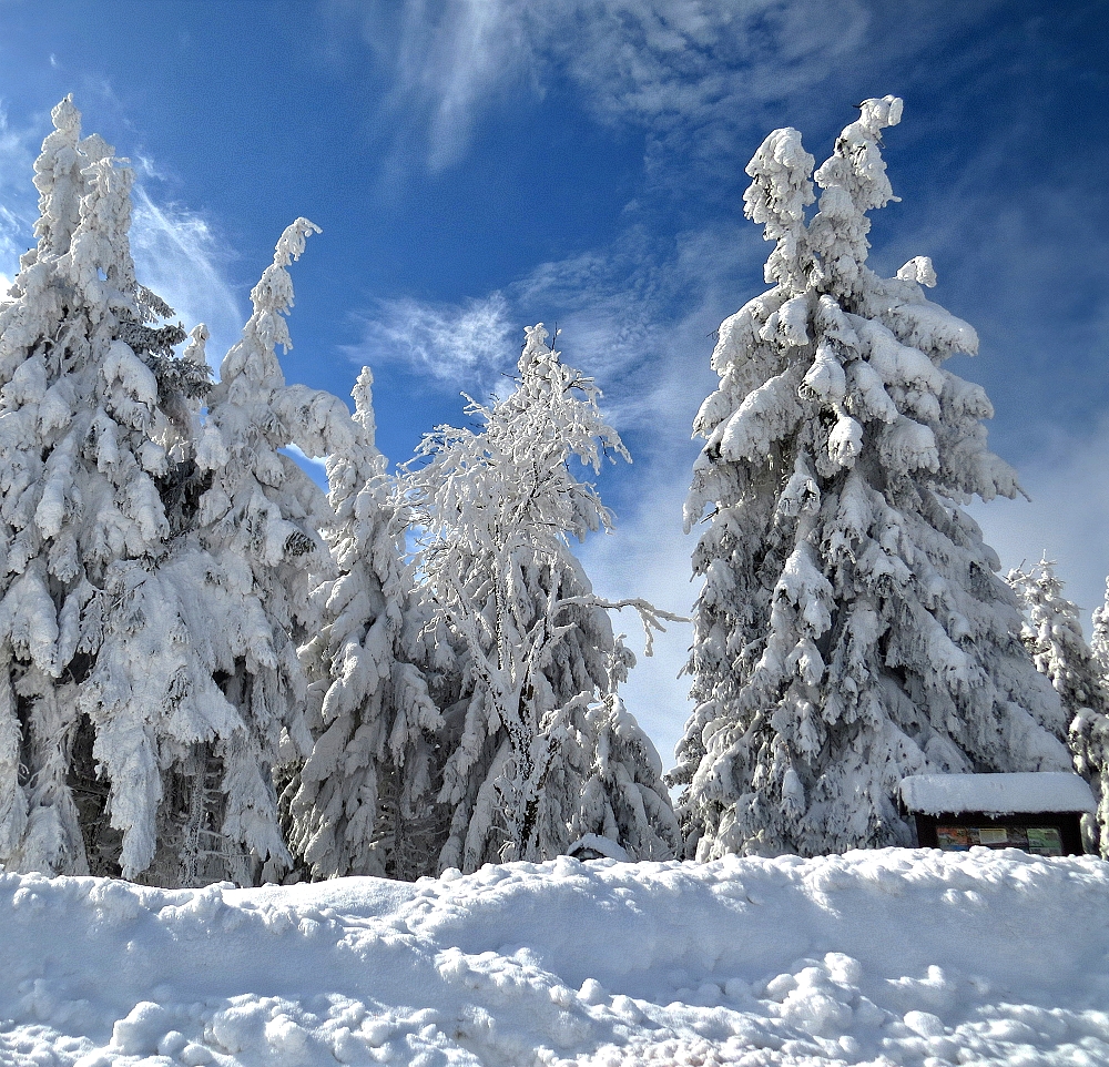 Winter am Auersberg 