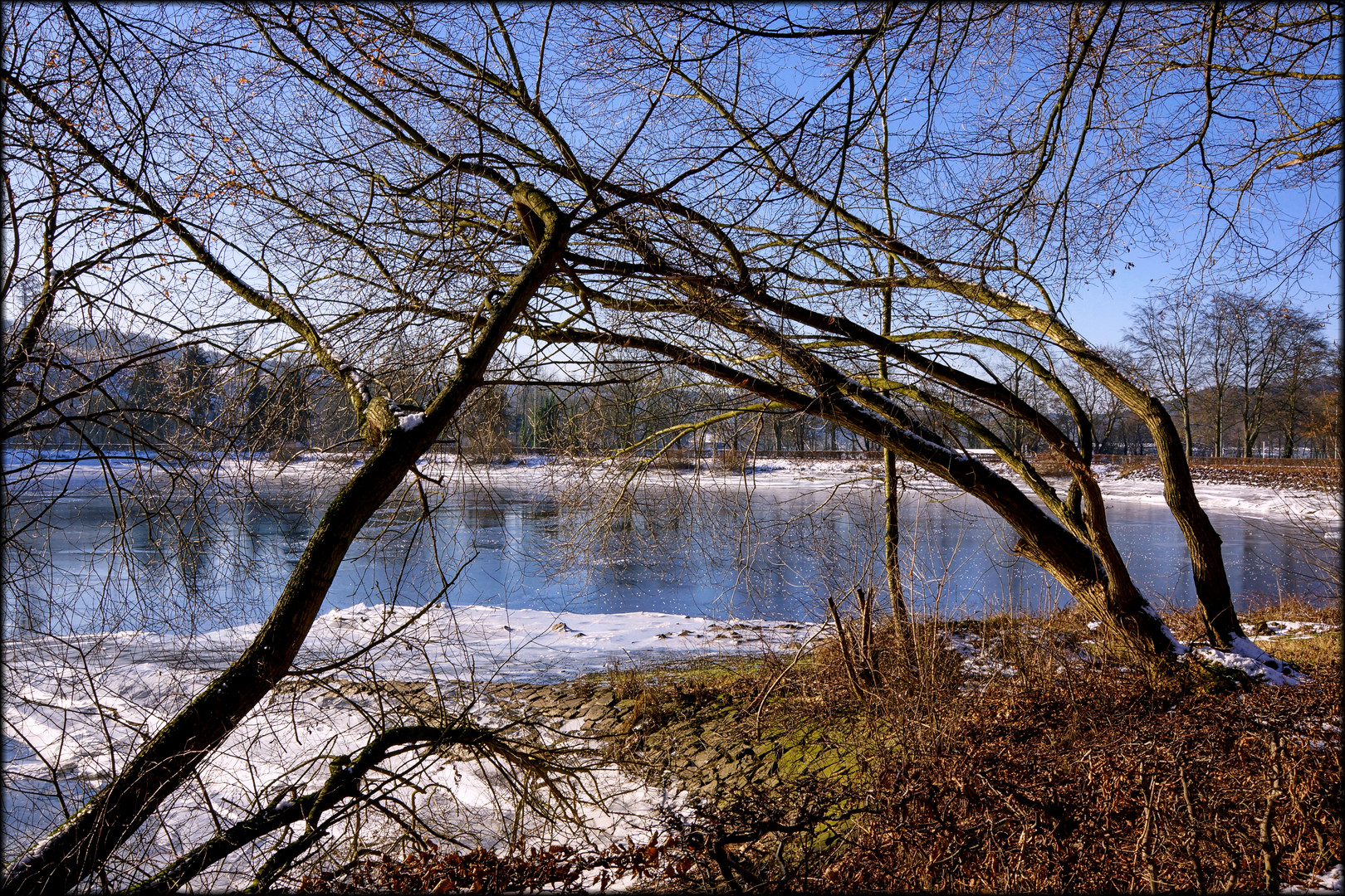 Winter am Ausgleichsweiher