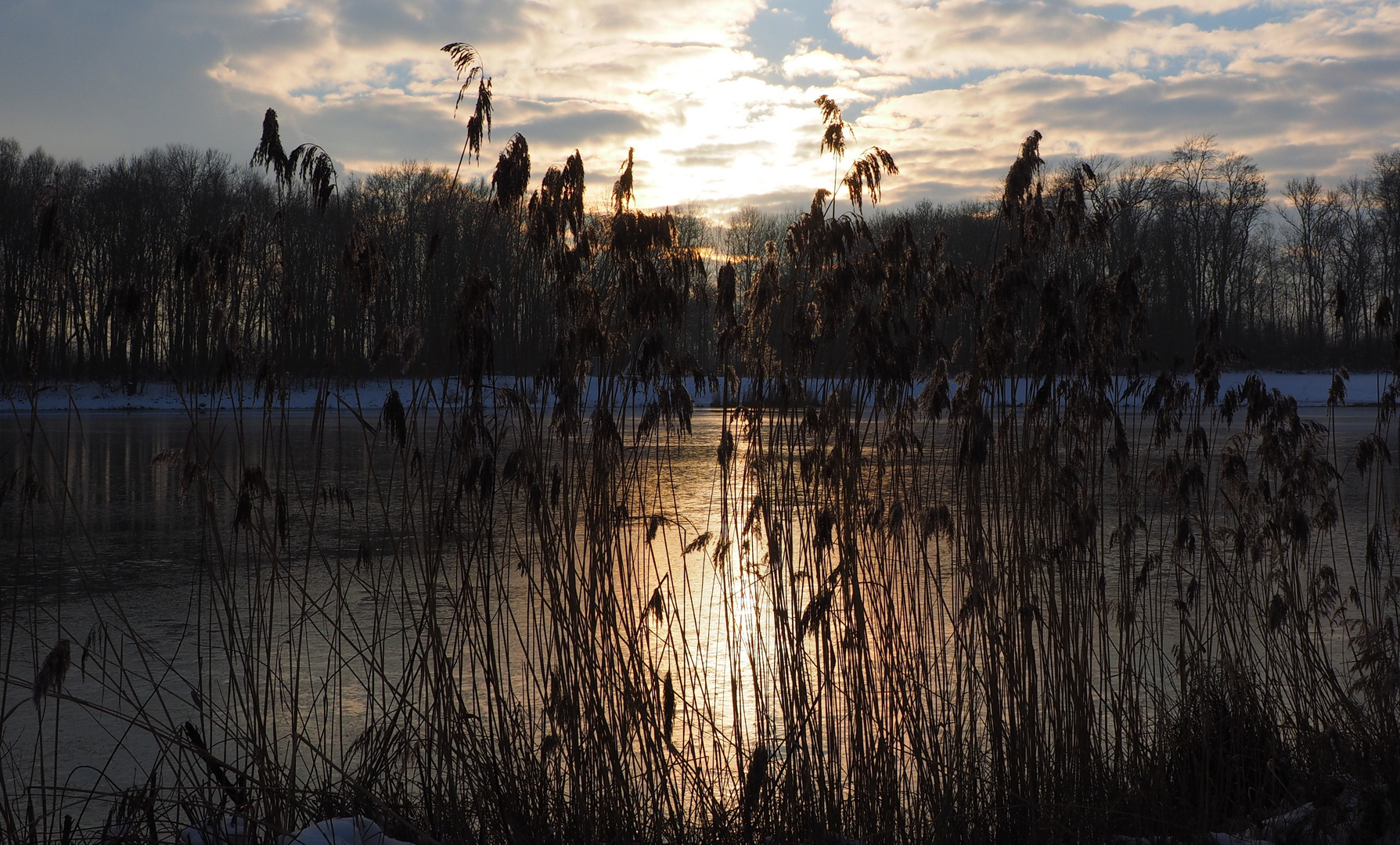 Winter am Auwaldsee