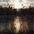 Winter am Auwaldsee