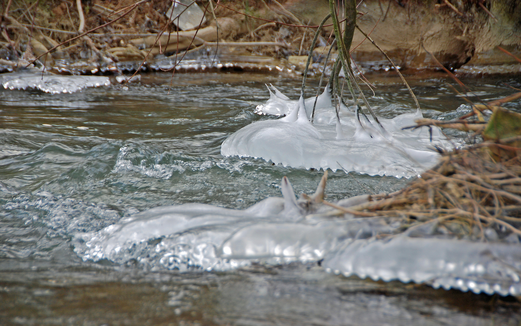 Winter am Bach (1)