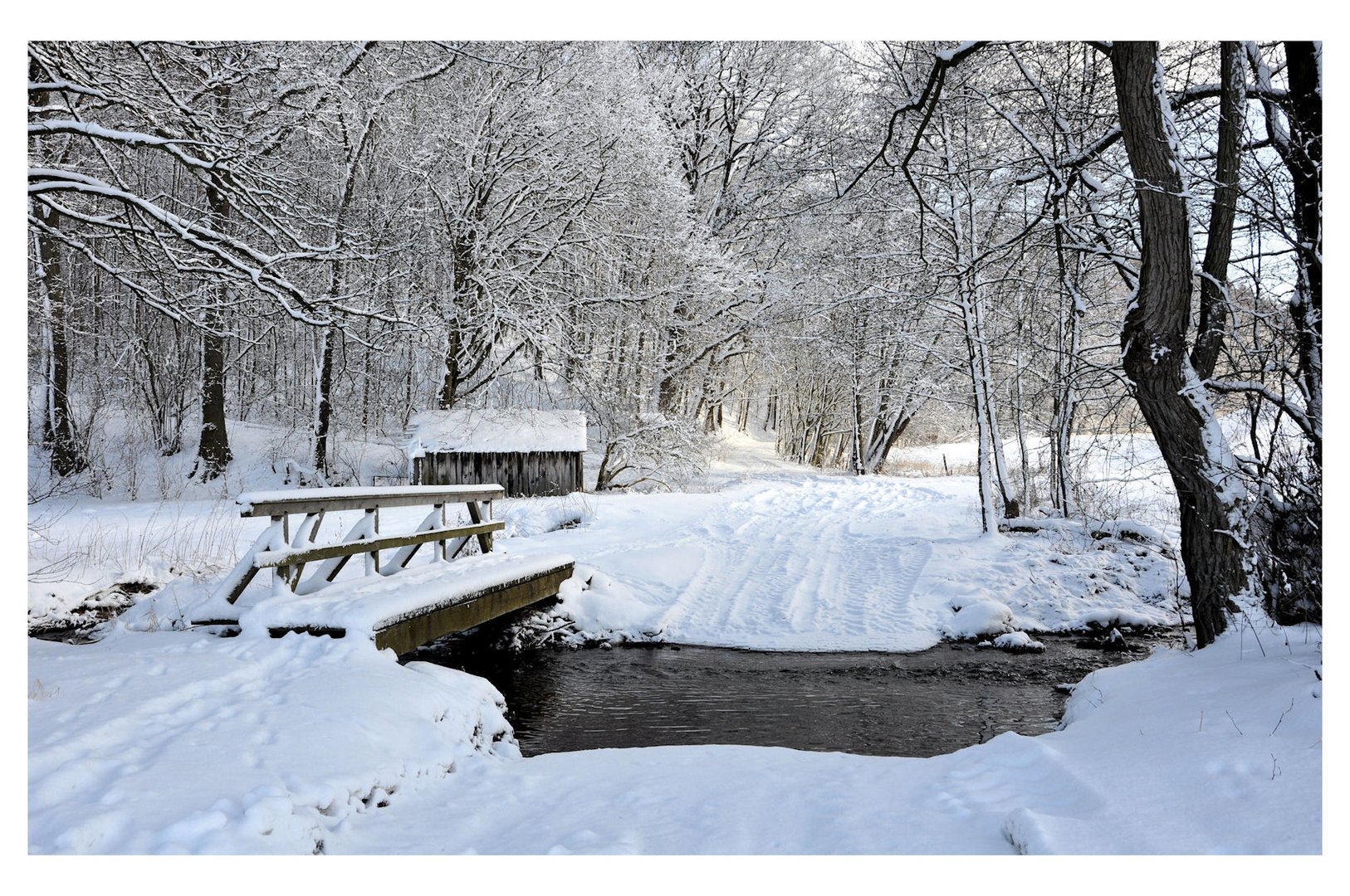 Winter  am Bach -2-