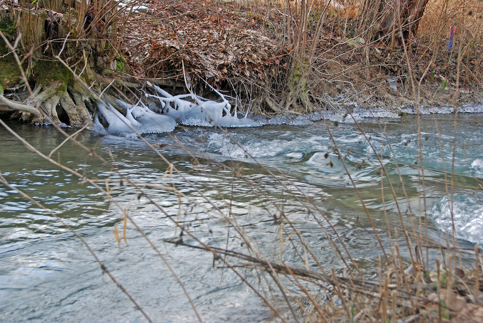 Winter am Bach (2)