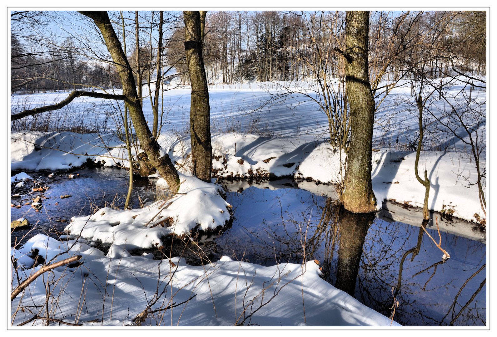 Winter am Bach