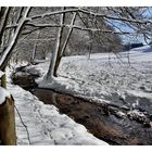 Winter am Bach -3-