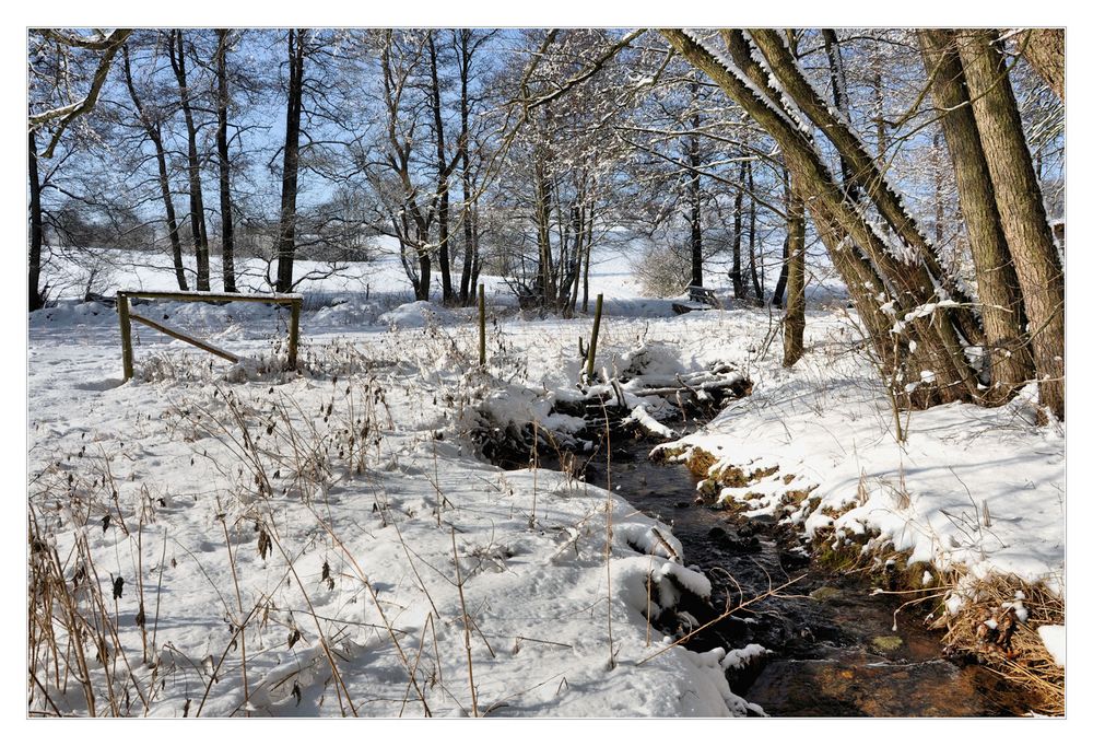 Winter am Bach...