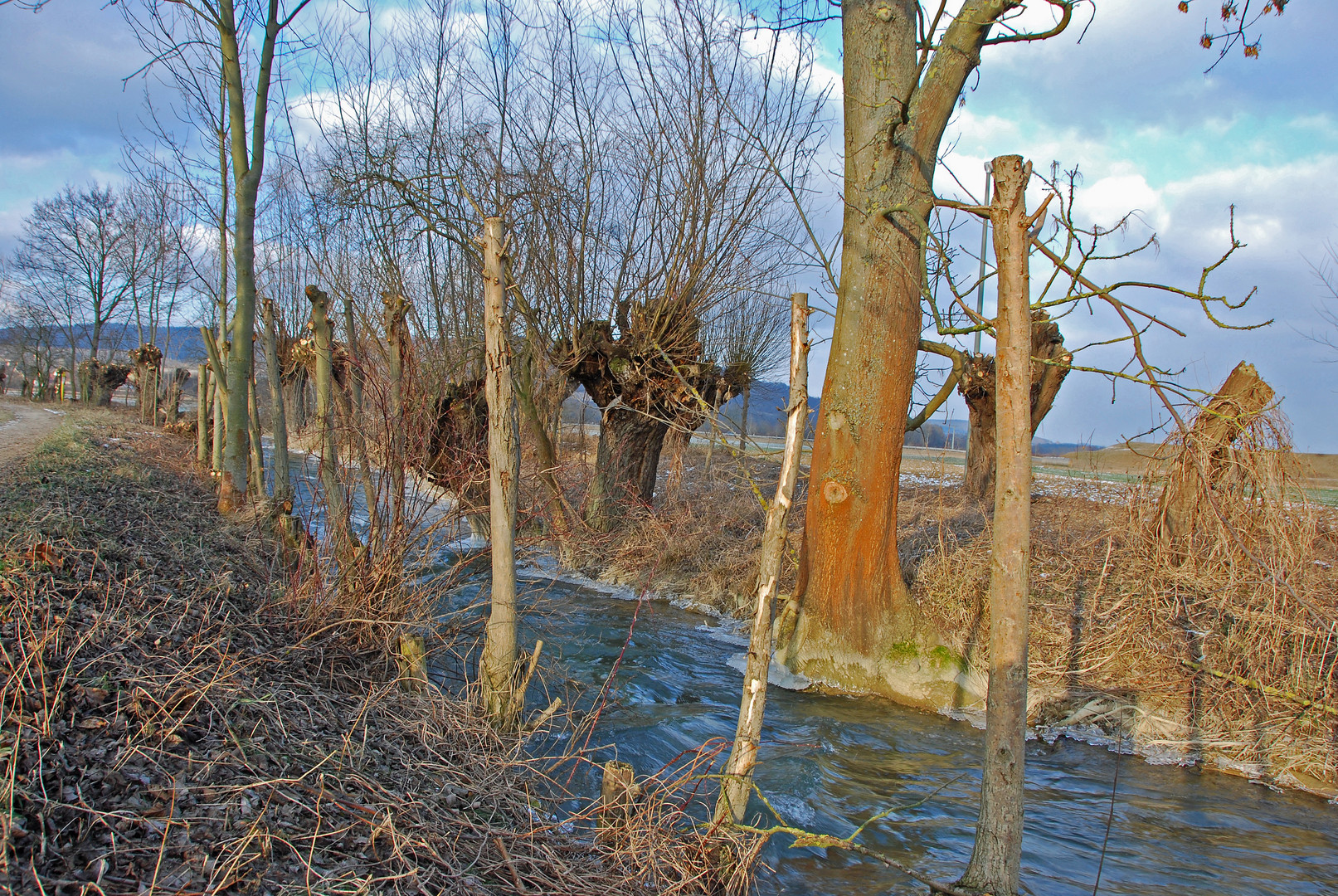 Winter am Bach (5)