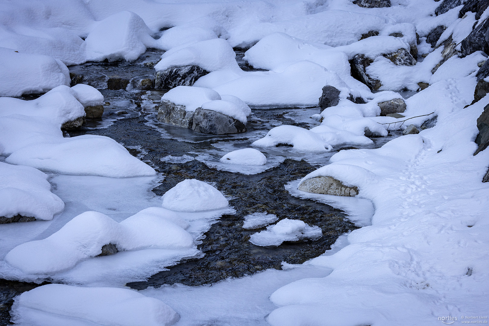 Winter am Bach