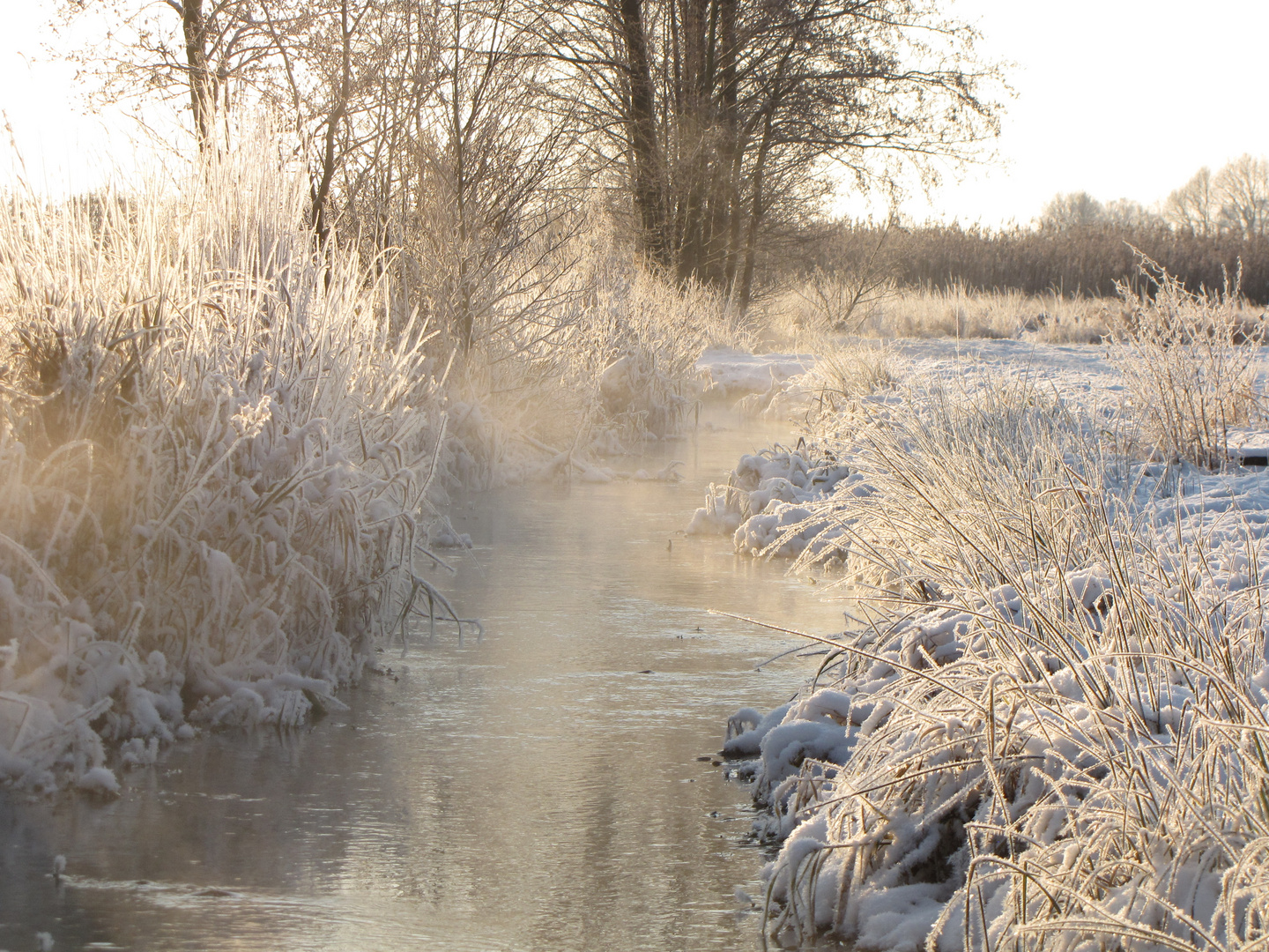 Winter am Bach