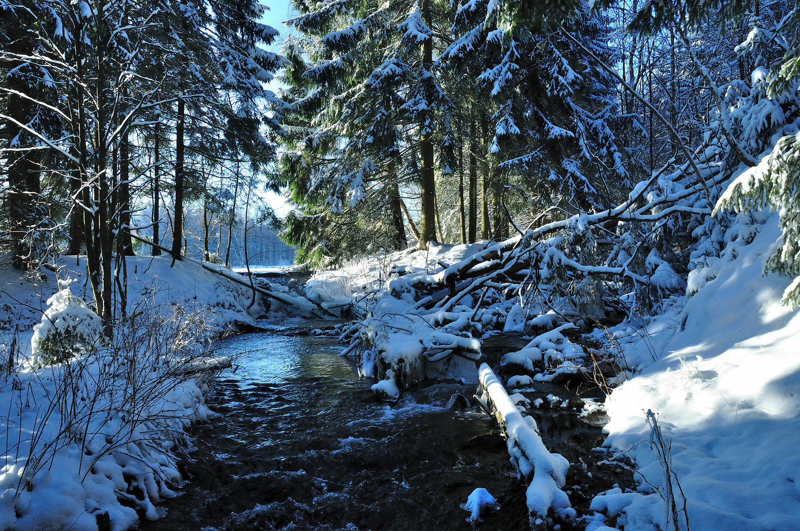 winter am bach