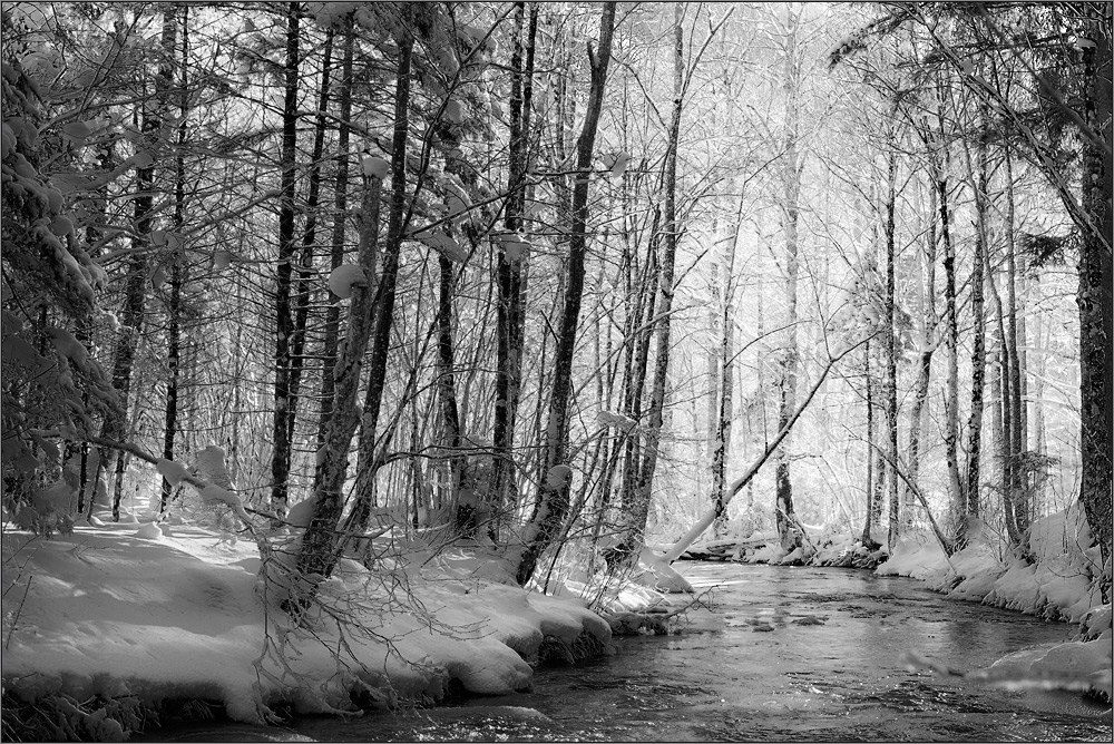 Winter am Bach