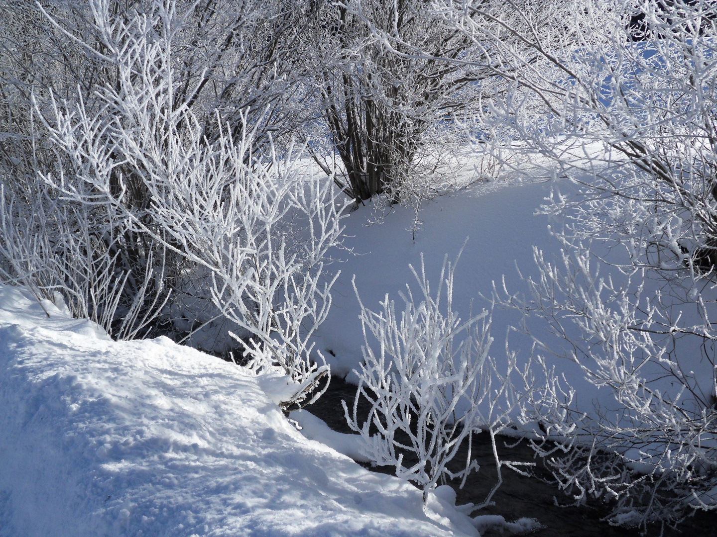 Winter am Bach