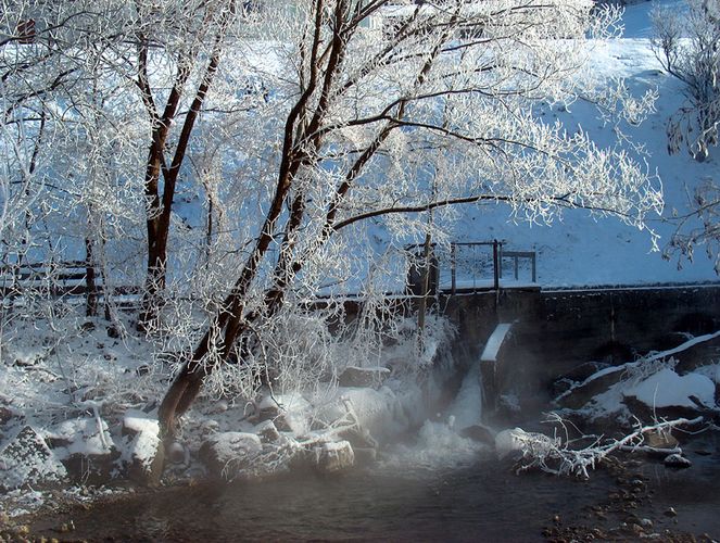 Winter am Bach