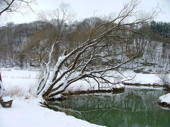 Winter am Bach