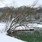 Winter am Bach