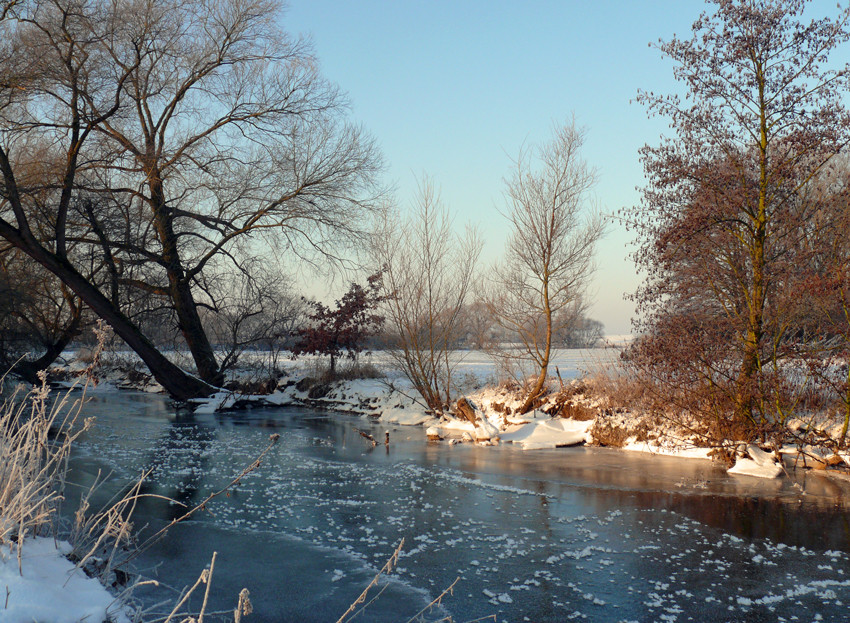 Winter am Bach