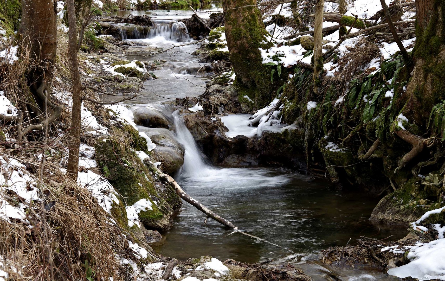 Winter am Bach...3