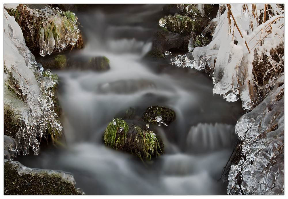 Winter am Bachlauf