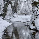 Winter am Bachlauf