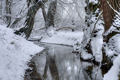 Winter am Bachlauf