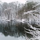 Winter am Bärensee bei Stuttgart