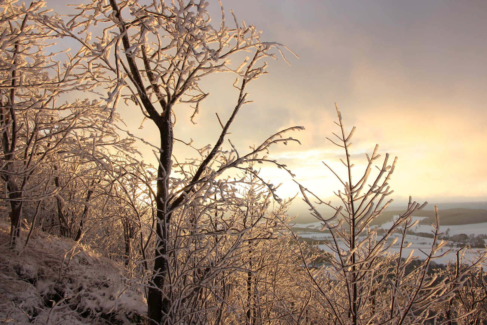 Winter am Bärenstein