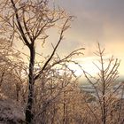 Winter am Bärenstein