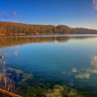 Winter am Baggersee 1