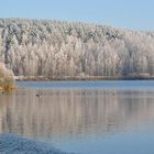 Winter am Baggersee