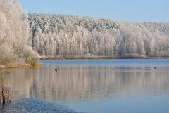 Winter am Baggersee