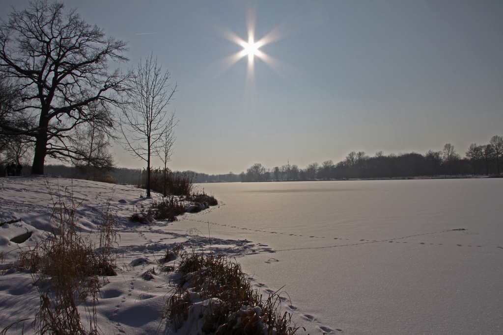 Winter am Baggersee